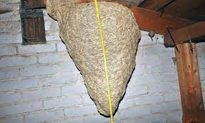 killtec-udalit-osinoe-gnezdo-big-0