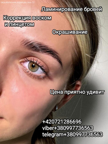 okrasivanie-korrekciia-pincetom-i-voskomlaminirovanie-brovei-big-0