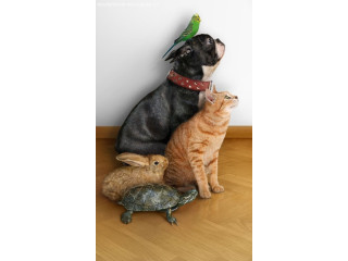 Присмотр за домашними животными