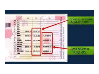 Код 95 (Первичный) для водителей грузовиков или автобусов с 11.09.2023
