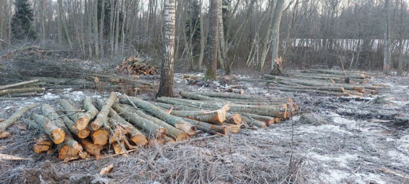 gilyotinnaia-rezka-i-raskopki-ekskavatorom-6-big-0