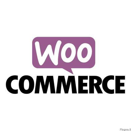 veb-studiia-v-finliandii-specializaciia-sozdanie-saitov-big-0