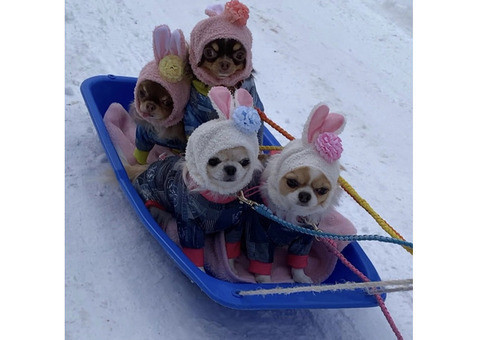 individualnyi-trancfer-bez-poputcikov-big-0