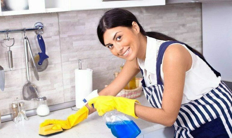 nuzna-domrabotnica-big-0