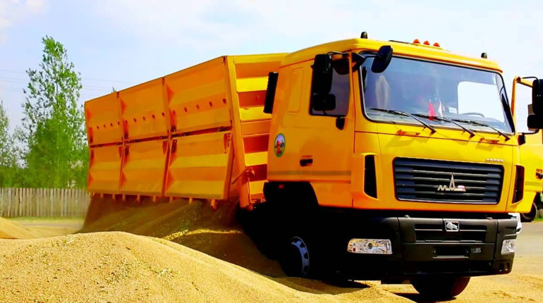 vodii-zernovoza-big-0