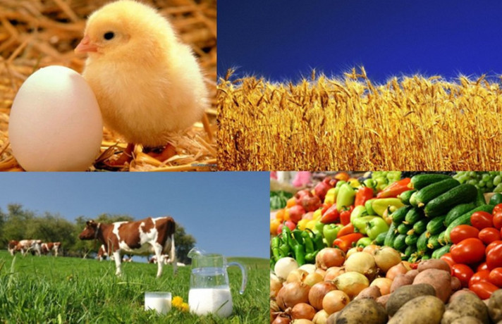 zaviduvac-gospodarstva-big-0